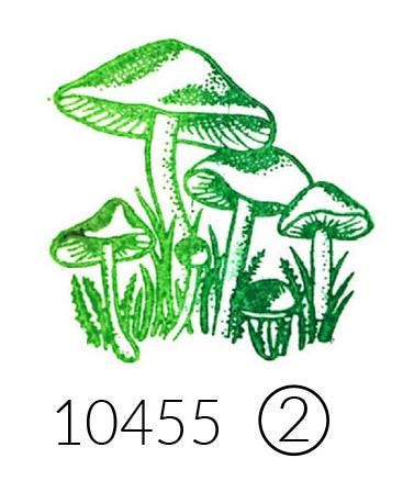 Stempel Pilzwiese