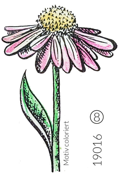 Stempel Echinacea/Sonnenhut