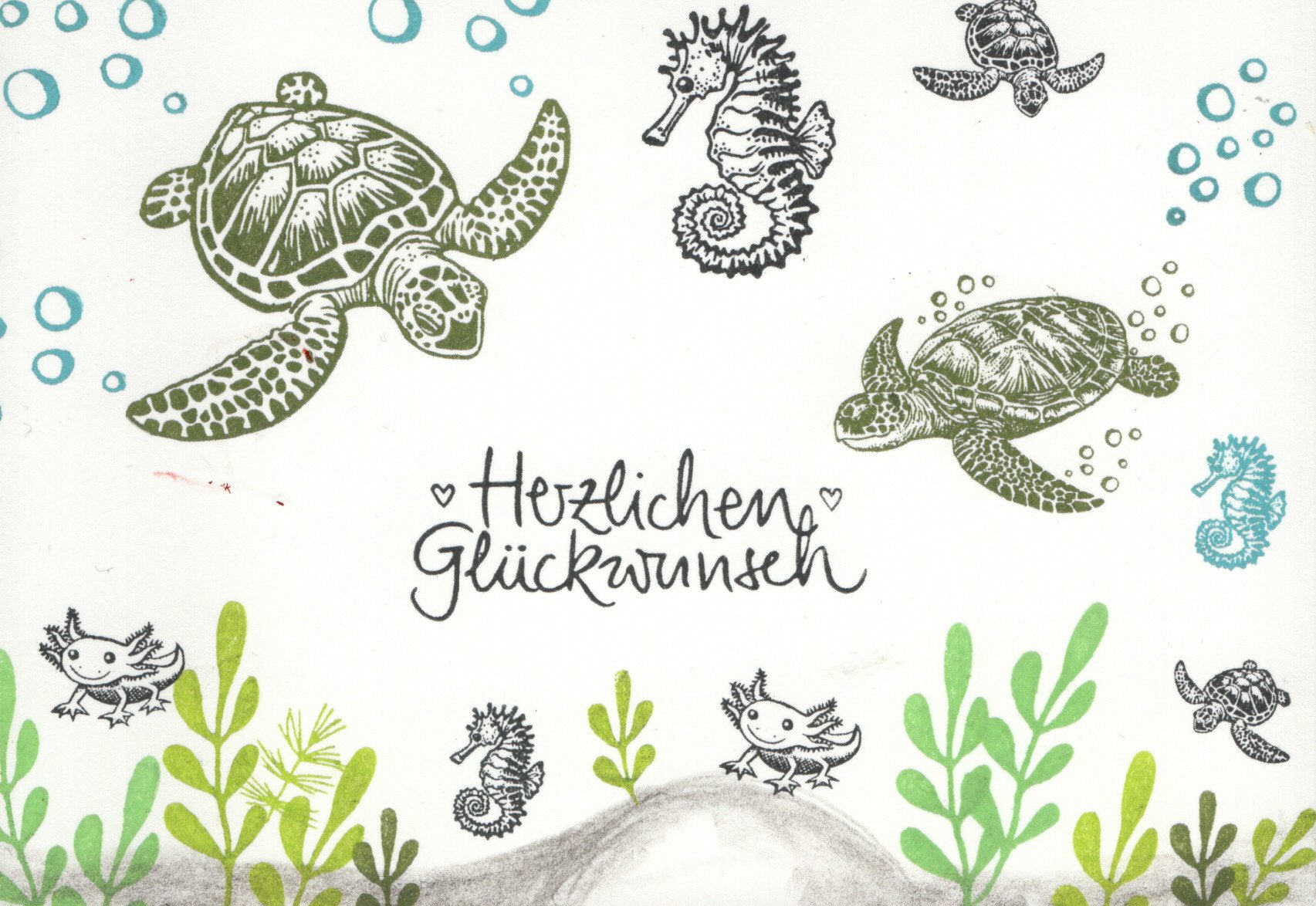 Stempel Koralle