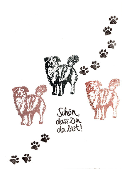 Stempel Australian Shepherd