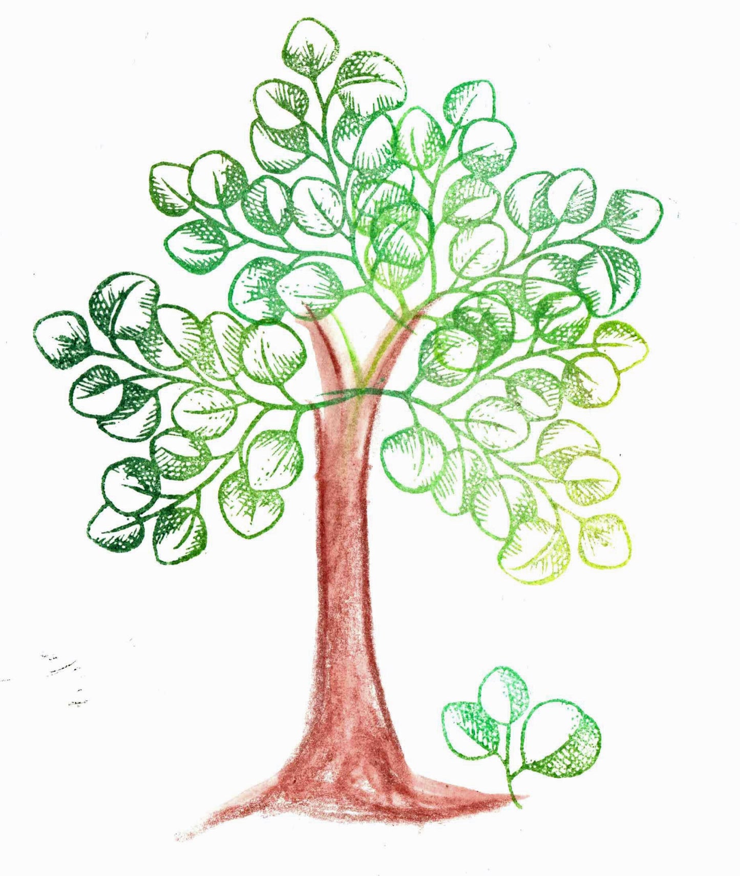 Stempel Eukalyptus