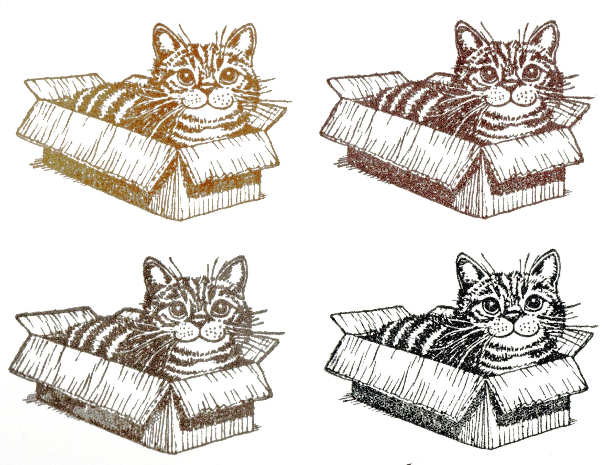 Stempel Katze in der Kiste