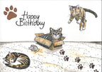Stempel Katze in der Kiste