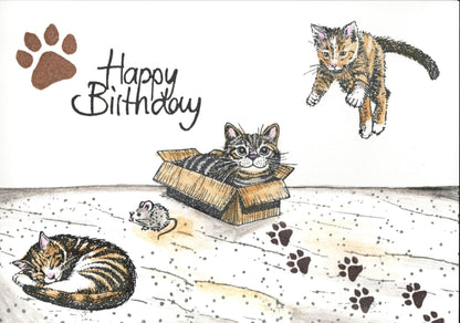 Stempel Katze in der Kiste