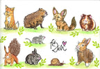 Stempel Meerschweinchen