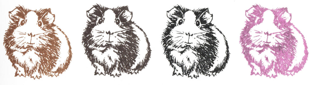 Stempel Meerschweinchen