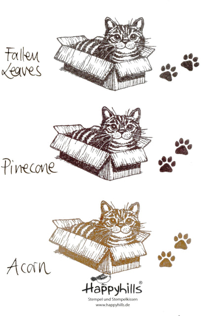 Stempel Katze in der Kiste