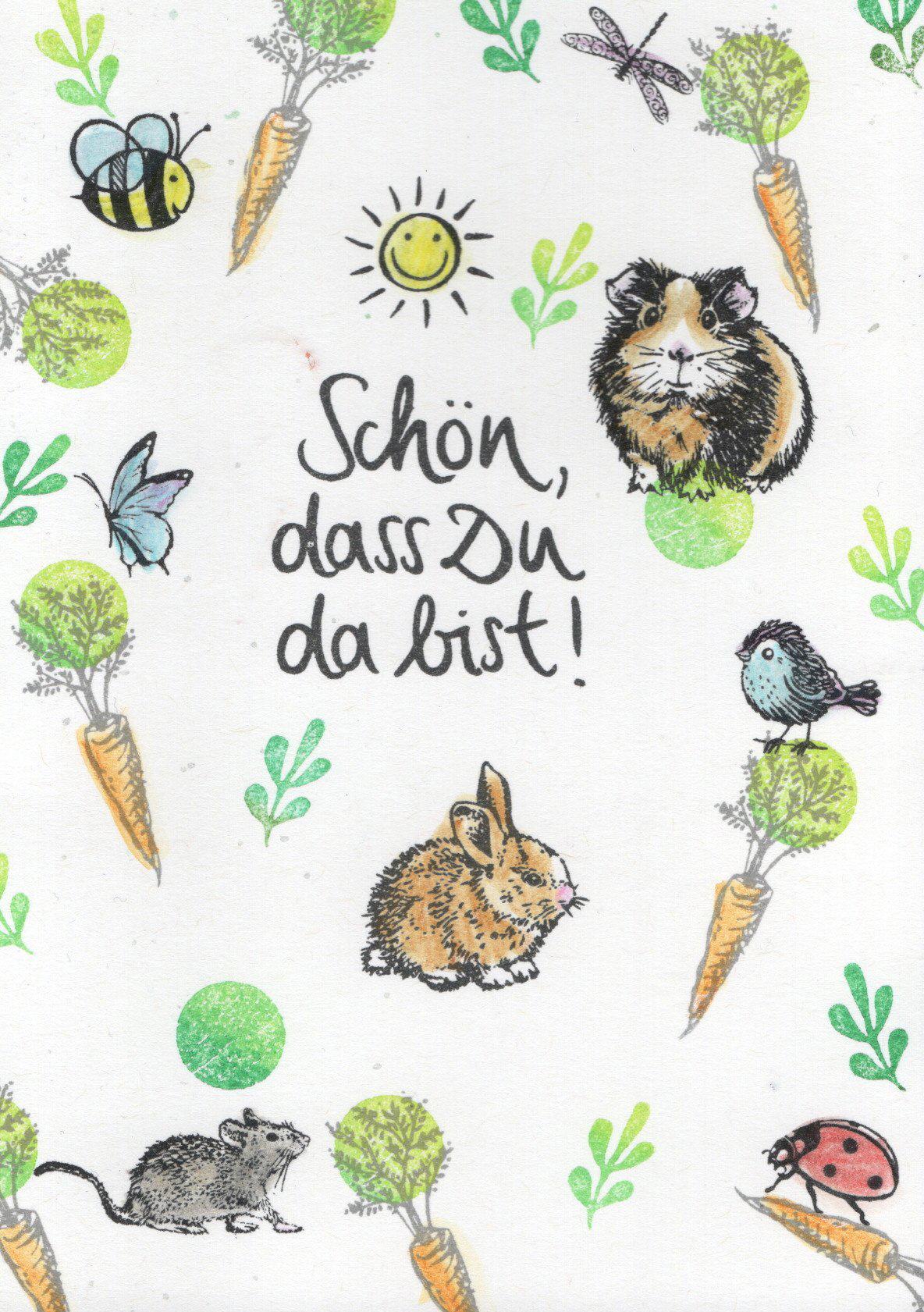 Ministempel Eukalyptus, Tanne und Koralle/Blatt Auswahl oder Set