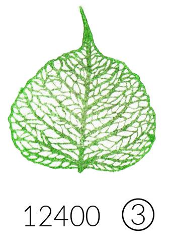 Stempel Blattskelett